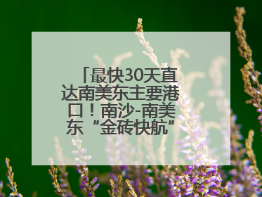最快30天直达南美东主要港口！南沙-南美东“金砖快航”全面升级优化