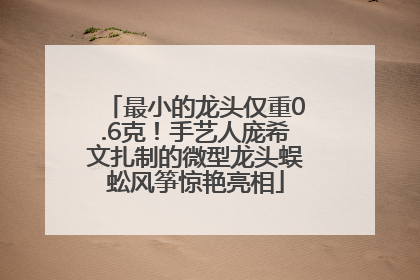 最小的龙头仅重0.6克！手艺人庞希文扎制的微型龙头蜈蚣风筝惊艳亮相