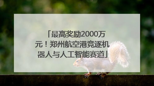 最高奖励2000万元！郑州航空港竞逐机器人与人工智能赛道