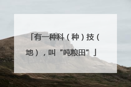 有一种科（种）技（地），叫“吨粮田”