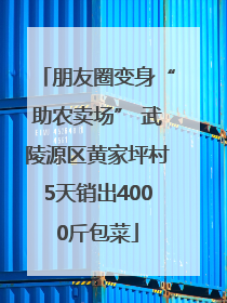 朋友圈变身“助农卖场” 武陵源区黄家坪村5天销出4000斤包菜