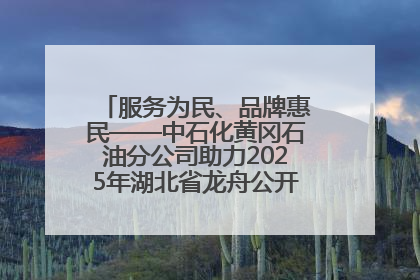 服务为民、品牌惠民——中石化黄冈石油分公司助力2025年湖北省龙舟公开赛（黄冈站）