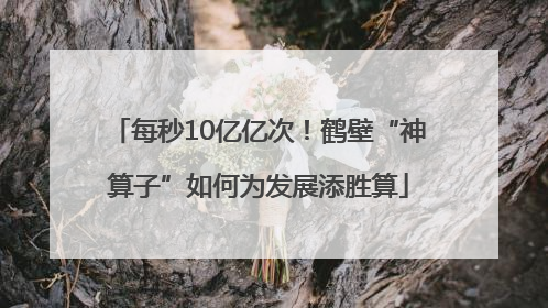 每秒10亿亿次！鹤壁“神算子”如何为发展添胜算