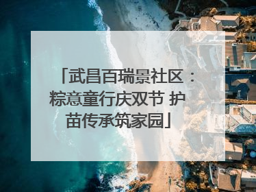 武昌百瑞景社区：粽意童行庆双节 护苗传承筑家园