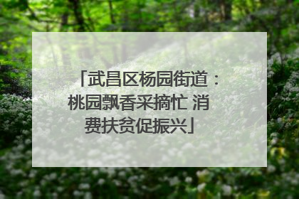 武昌区杨园街道：桃园飘香采摘忙 消费扶贫促振兴