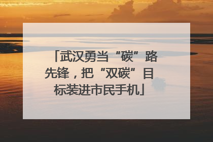 武汉勇当“碳”路先锋，把“双碳”目标装进市民手机