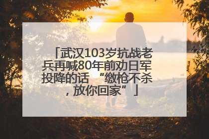 武汉103岁抗战老兵再喊80年前劝日军投降的话 “缴枪不杀，放你回家”