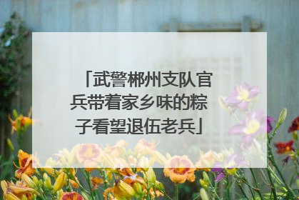 武警郴州支队官兵带着家乡味的粽子看望退伍老兵