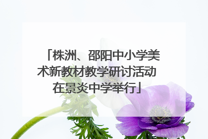 株洲、邵阳中小学美术新教材教学研讨活动在景炎中学举行