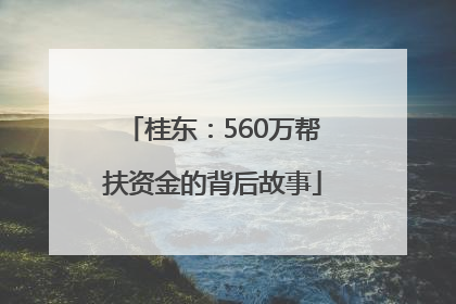 桂东：560万帮扶资金的背后故事