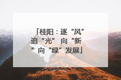 桂阳：逐“风”追“光” 向“新”向“绿”发展
