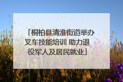 桐柏县清淮街道举办叉车技能培训 助力退役军人及居民就业