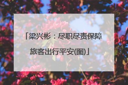 梁兴彬：尽职尽责保障旅客出行平安(图)