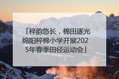梓韵悠长，棉田逐光 绵阳梓棉小学开展2025年春季田径运动会
