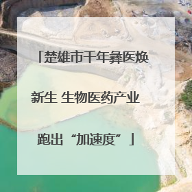 楚雄市千年彝医焕新生 生物医药产业跑出“加速度”