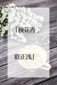 楝花香，夏正浅
