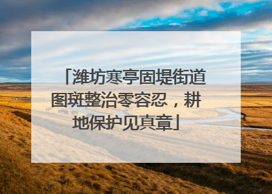 潍坊寒亭固堤街道图斑整治零容忍，耕地保护见真章