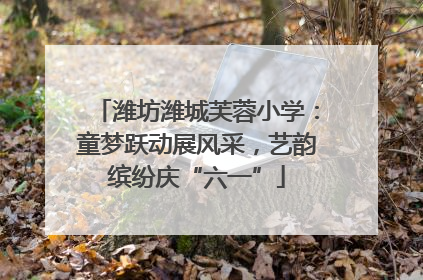 潍坊潍城芙蓉小学：童梦跃动展风采，艺韵缤纷庆“六一”