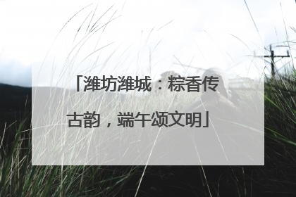 潍坊潍城：粽香传古韵，端午颂文明