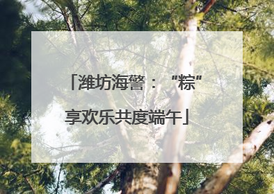 潍坊海警：“粽”享欢乐共度端午