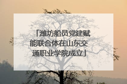 潍坊船员党建赋能联合体在山东交通职业学院成立