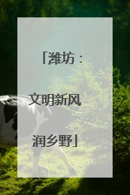 潍坊：文明新风润乡野