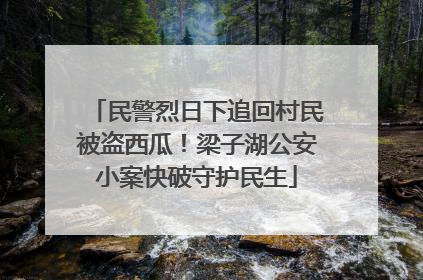民警烈日下追回村民被盗西瓜！梁子湖公安小案快破守护民生