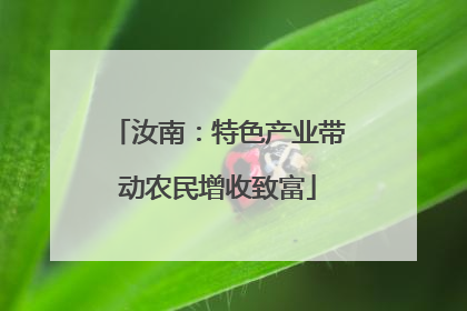 汝南：特色产业带动农民增收致富