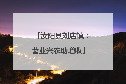 汝阳县刘店镇：薯业兴农助增收