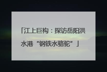 江上巨构：探访岳阳洪水港“钢铁水骆驼”