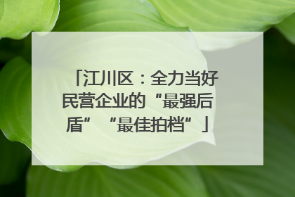 江川区：全力当好民营企业的“最强后盾”“最佳拍档”