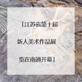 江苏省第十届新人美术作品展览在南通开幕