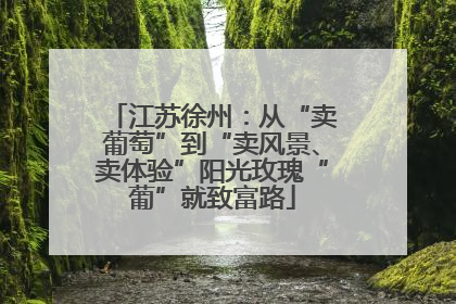 江苏徐州：从“卖葡萄”到“卖风景、卖体验”阳光玫瑰“葡”就致富路