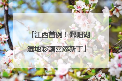 江西首例！鄱阳湖湿地彩鹮喜添新丁