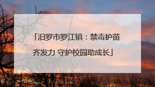 汨罗市罗江镇：禁毒护苗齐发力 守护校园助成长