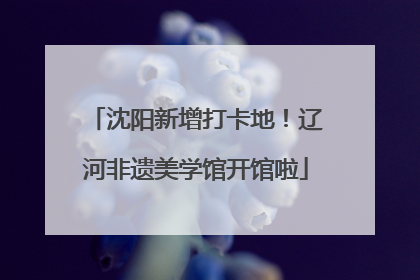 沈阳新增打卡地！辽河非遗美学馆开馆啦