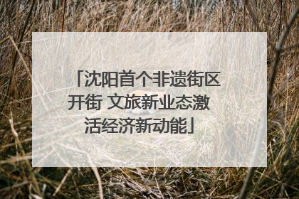 沈阳首个非遗街区开街 文旅新业态激活经济新动能