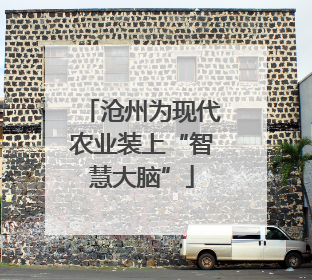 沧州为现代农业装上“智慧大脑”