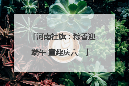 河南社旗：粽香迎端午 童趣庆六一