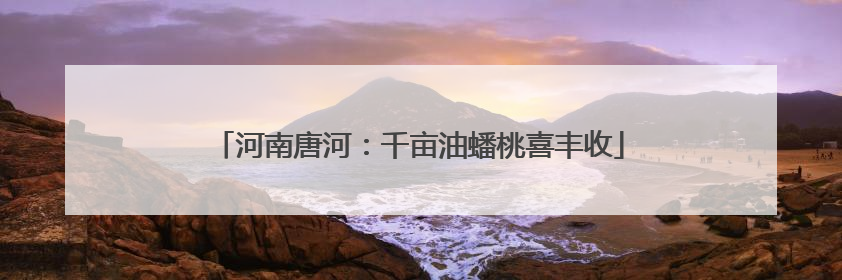 河南唐河：千亩油蟠桃喜丰收