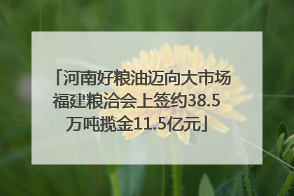 河南好粮油迈向大市场 福建粮洽会上签约38.5万吨揽金11.5亿元