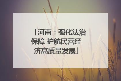 河南：强化法治保障 护航民营经济高质量发展