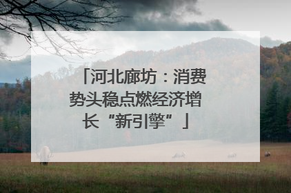 河北廊坊：消费势头稳点燃经济增长“新引擎”