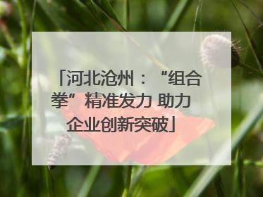 河北沧州：“组合拳”精准发力 助力企业创新突破