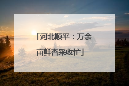 河北顺平：万余亩鲜杏采收忙