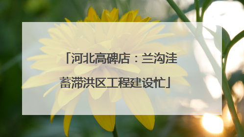 河北高碑店：兰沟洼蓄滞洪区工程建设忙