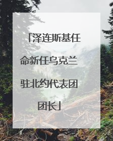 泽连斯基任命新任乌克兰驻北约代表团团长