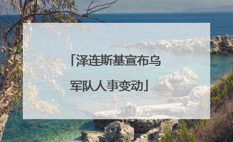 泽连斯基宣布乌军队人事变动
