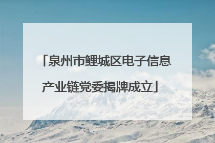 泉州市鲤城区电子信息产业链党委揭牌成立