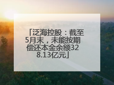 泛海控股：截至5月末，未能按期偿还本金余额328.13亿元